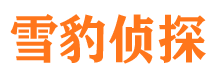 临川市侦探调查公司